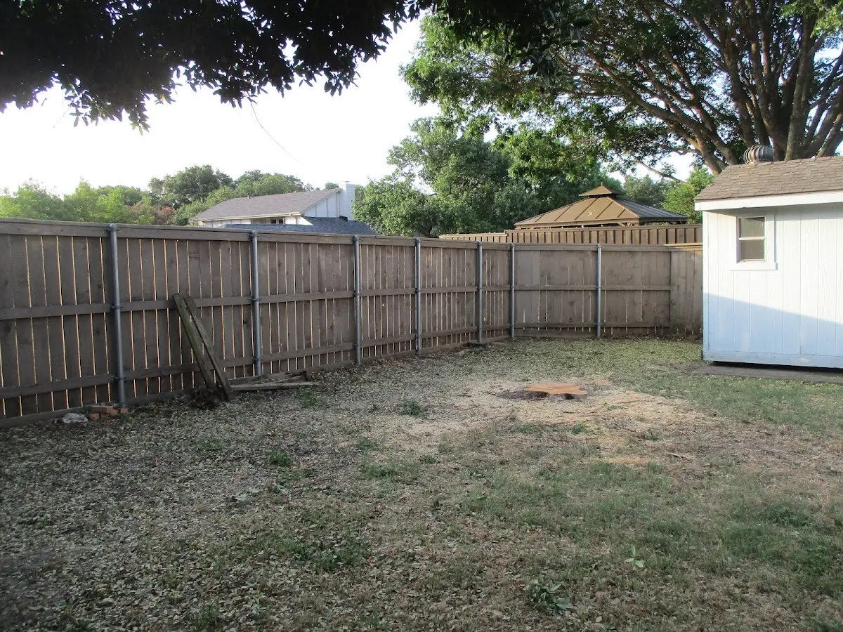 Cleared yard after professional tree removal in Pomona Park